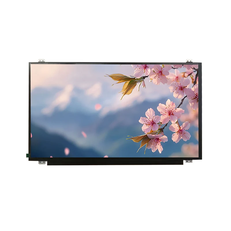 15,6 'HD Wide Temp IPS TFT LCD Modul de ecran