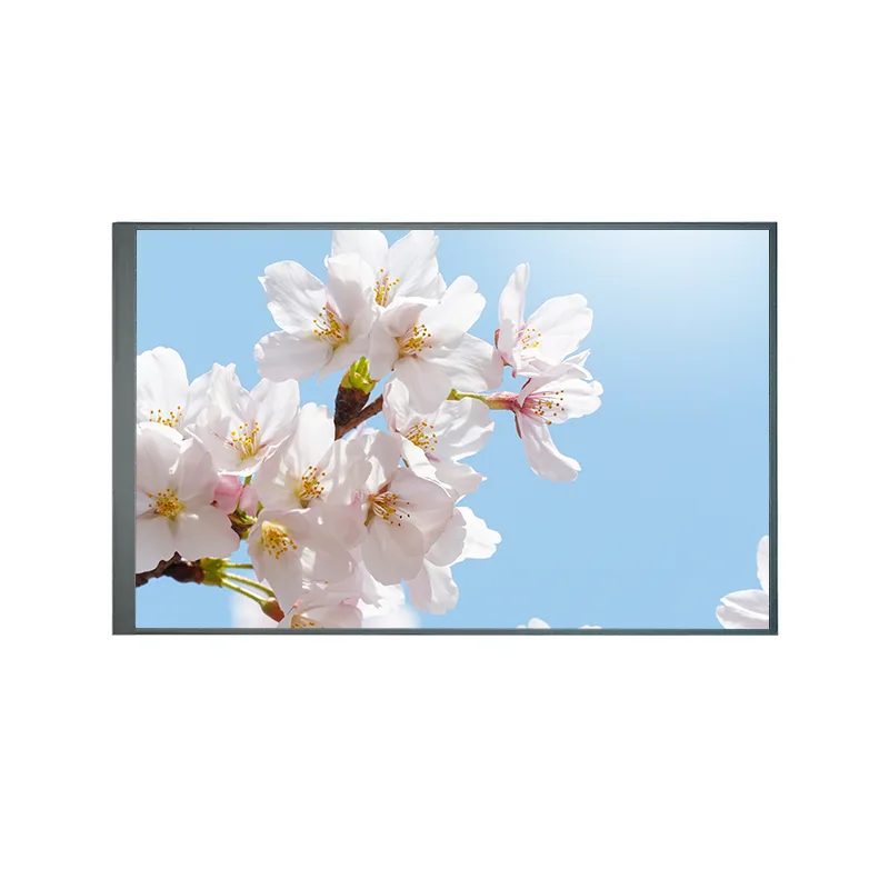 8,0 inci în mod normal înapoi TFT IPS TFT LCD Modul de ecran